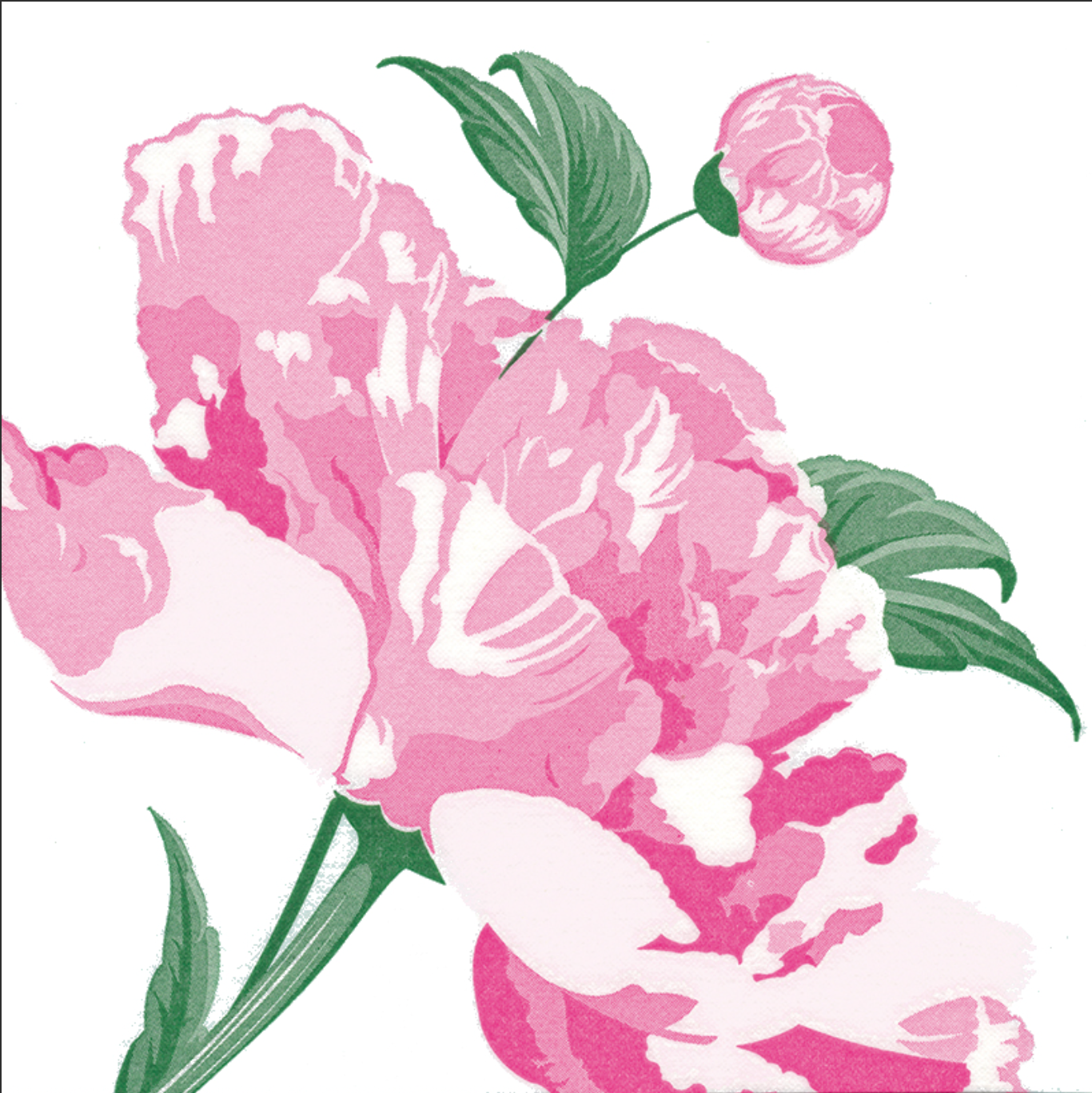 Servetten - Roze pioen - 40x40