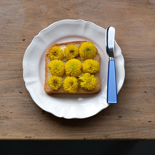 Botermes Sabre - Icône - Blauw