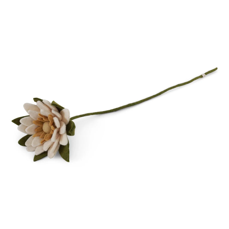 Water Lily - White