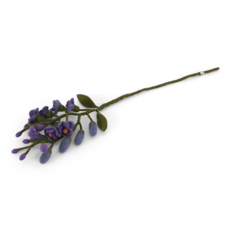 Wisteria - Purple