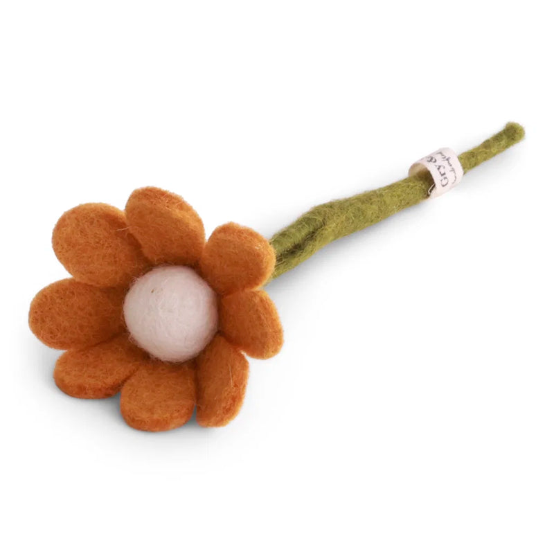 Small Anemone with Leaf