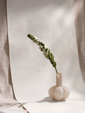 Vingerhoedskruid Bloem - Wit