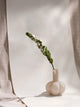 Foxglove Flower - White