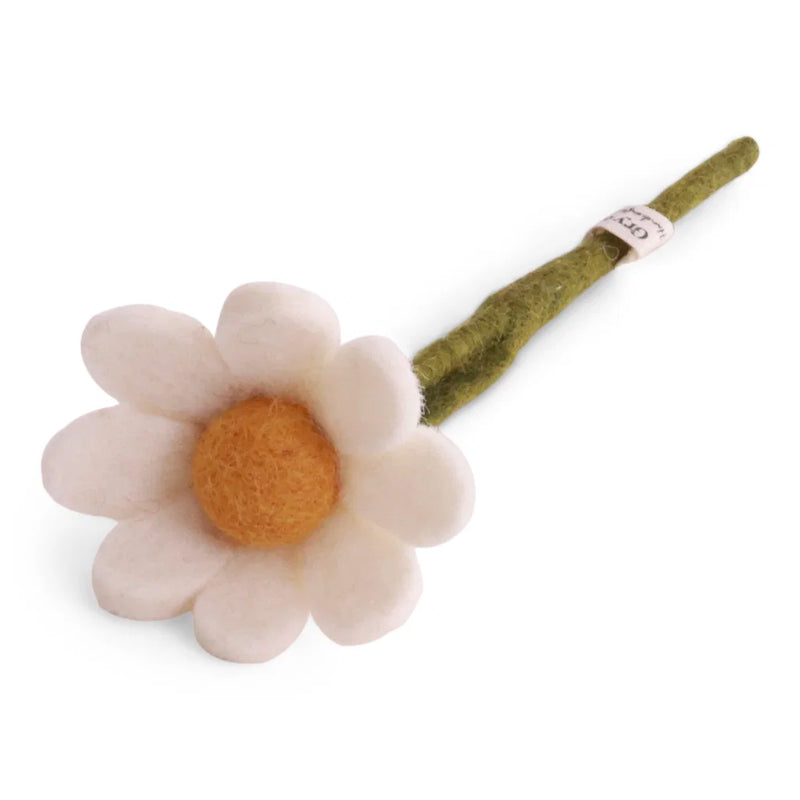 Small Anemone with Leaf