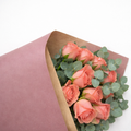 Ecowaterproof Kraft 70 cm x 50 m effen vintageroze