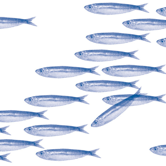 Servetten - Sardines- 40x40