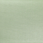 Dienblad - Licht groen - 46x36 cm